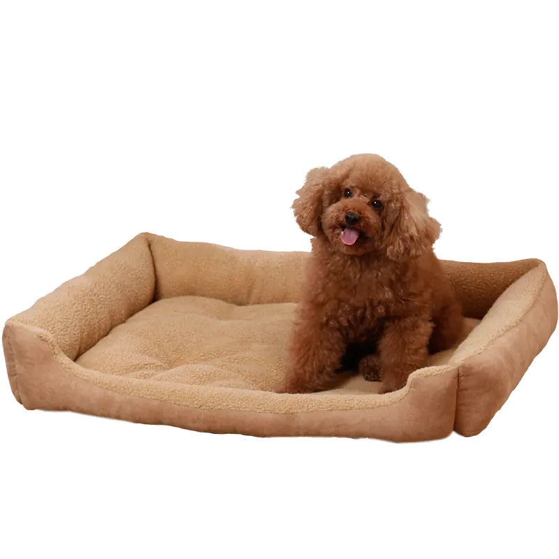 Teddy Golden Retriever Dog Bed and Pet House